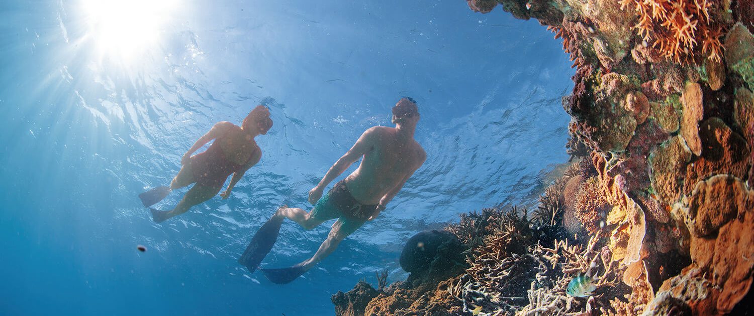 Unique Snorkelling Experiences