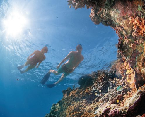 Two snorkelers swim in clear blue water near a colorful coral reef, with sunlight shining through the water's surface, illuminating the underwater scene. Various marine life and vibrant coral formations surround the snorkelers, making it one of the unique things to do in Bundaberg.