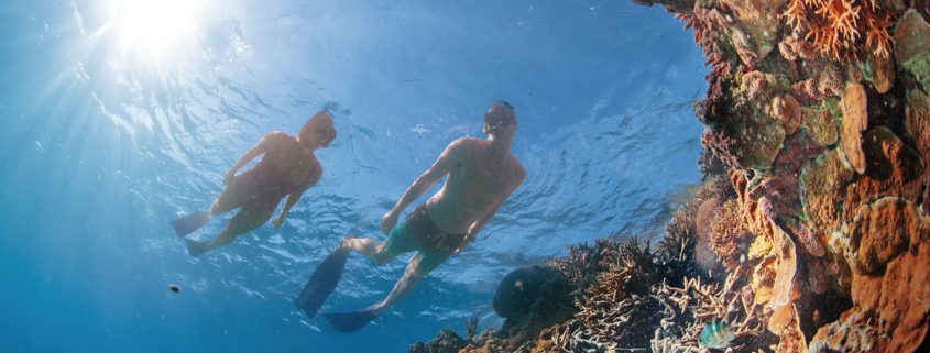 Unique Snorkelling Experiences