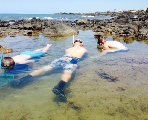 Three people are snorkeling in shallow, clear water surrounded by rocks. Two of them are wearing blue swim trunks and one is wearing multi-colored shorts. They explore the water face down with snorkels and masks, while a rocky shoreline is visible in the background—perfect for your "Things To Do Bundaberg This Weekend" list.