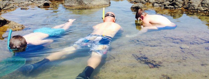 Three people are snorkeling in shallow, clear water surrounded by rocks. Two of them are wearing blue swim trunks and one is wearing multi-colored shorts. They explore the water face down with snorkels and masks, while a rocky shoreline is visible in the background—perfect for your "Things To Do Bundaberg This Weekend" list.