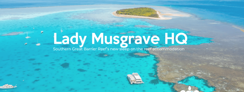 Sleep On The Reef With Lady Musgrave Experience - Southern Great Barrier Reef