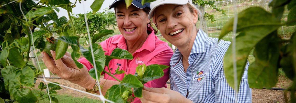 Two women smile and inspect the leaves and fruits on a vine growing on a trellis. The woman on the left wears a pink shirt, while the woman on the right wears a blue checked shirt. A small brown dog lies on the grass in the background—one of many tranquil moments among Things To Do Bundaberg.