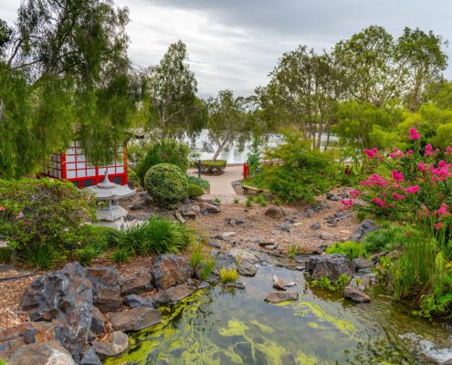 A picturesque garden featuring a small pond with lily pads, rocks, and greenery. Colorful flowers bloom on the right, while a red and white structure stands on the left. Trees and a cloudy sky frame the serene landscape in the background—a must-see among Things To Do Bundaberg.