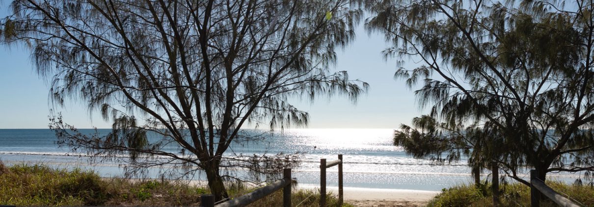 A serene beach pathway bordered by grass and small trees leads to a sparkling ocean under a clear blue sky. The sun shines brightly, creating a glistening effect on the water's surface. A wooden fence frames the sandy trail heading toward the beach, one of many things to do in Bundaberg.