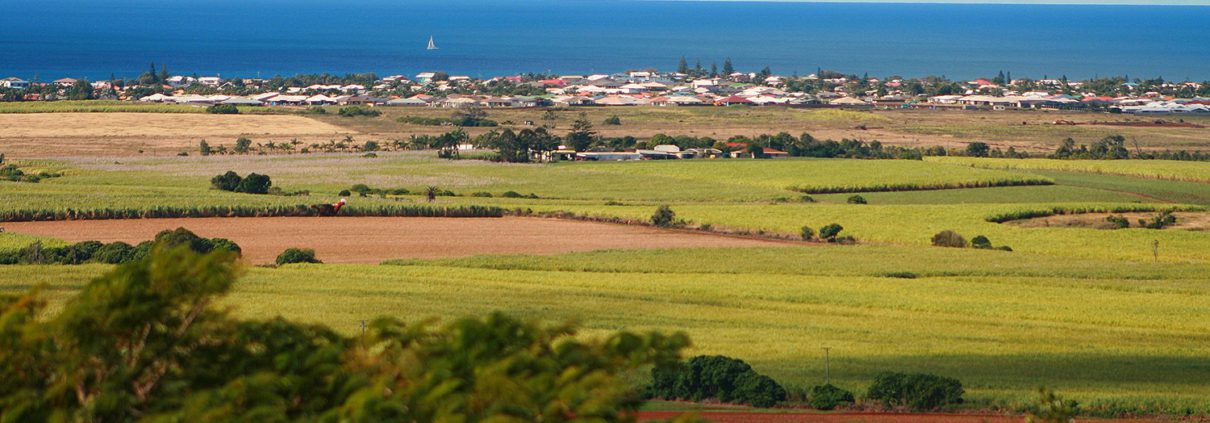 A scenic view of a coastal landscape with lush farmland in the foreground, a town with houses and buildings in the midground, and a calm blue sea in the background. A small white sailboat is visible on the horizon. As one of the top things to do Bundaberg, trees frame this picturesque scene at the front.